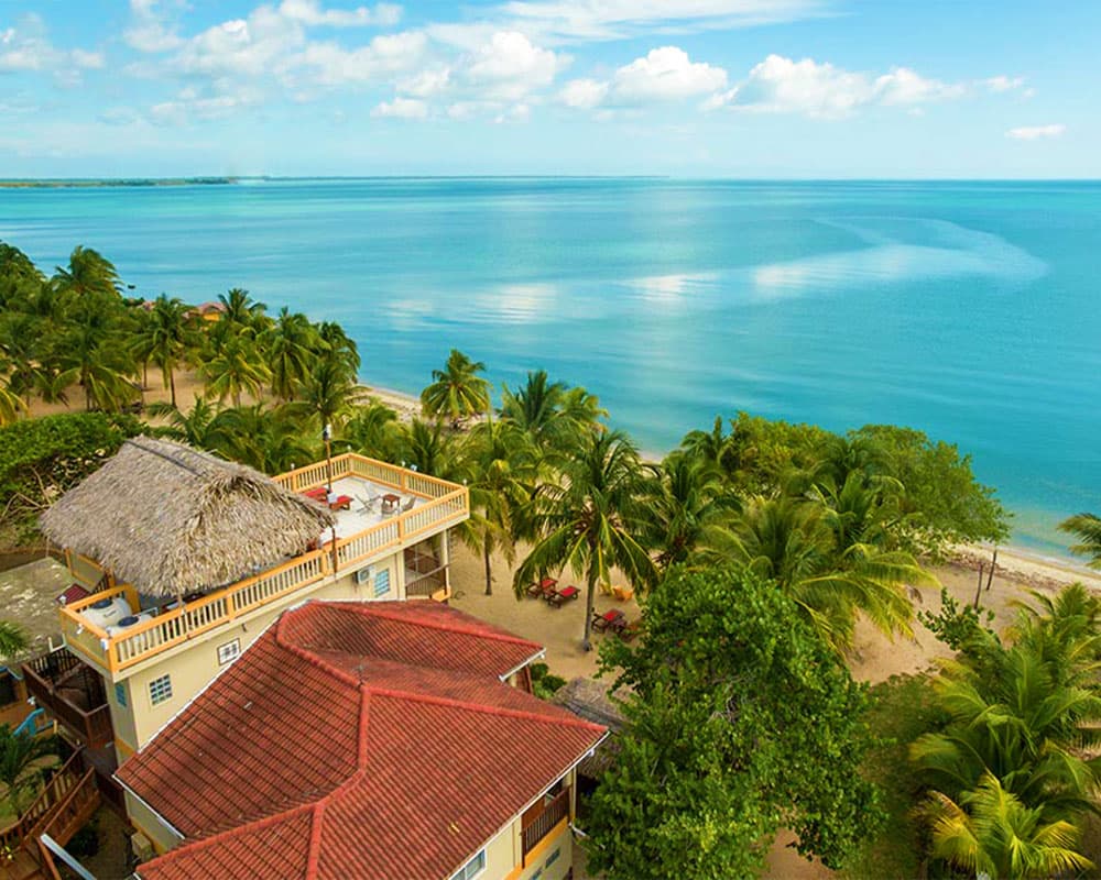 Aerial view of a tropical beach with palm trees and a house overlooking the calm, blue ocean.